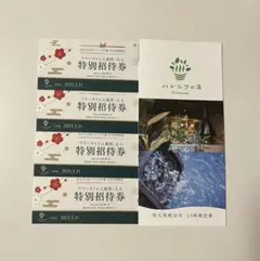 おふろcafe ハレニワの湯 特別招待券 4枚