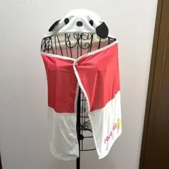 Sanrio なりきりCool Blanket ポチャッコ
