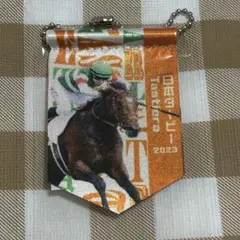 ノーザンホースパーク　モバガチャ　タスティエーラ