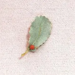 《値下げ》ブローチ 葉