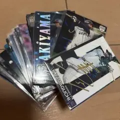 プロ野球チップスカード　100枚セット