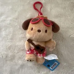 ⭐︎ハワイ限定⭐︎日焼けポチャッコ　ぬいぐるみ　ABC Store④