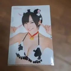 Item thumbnail for item 80da75d2-49e4-494f-975e-11d95f9fae0a