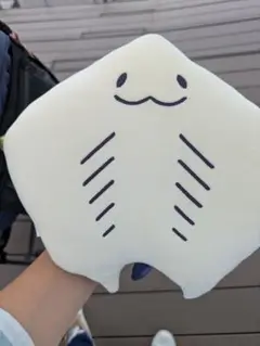 四国水族館 えいくん クッション　くじ