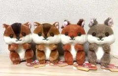 ふっくらほっぺのちょこりす ST