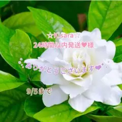 ☆Kisara☆24時間以内発送♥様 おまとめパーツ(˘͈ᵕ ˘͈ *)♡