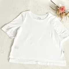 エディーバウアー　レディースTシャツ  レース袖　M