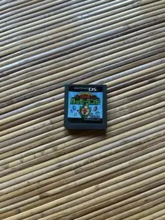 NintendoDSソフトばら色ルッピーランド