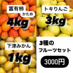 【(固め)富有柿4.0kg+下津みかん1.0kg+トキりんご3.0kgご家庭用