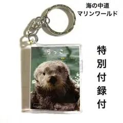 ラッコ キーホルダー MARINE WORLD マリン本　豆本　マリンワールド マリンワールド海の中道【公式】 on X: 