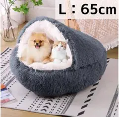 Item thumbnail for item 4299481f-a414-442c-ab35-580dd552f1e5