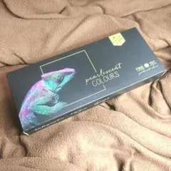 Item thumbnail for item c04aac69-ab8b-4467-b7bb-518c6cf24fb6