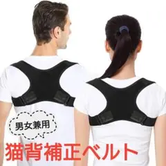 Item thumbnail for item b3f37f6f-538e-4428-b64d-eed00aea0150