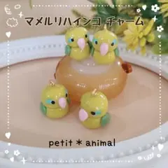 ②マメルリハインコ　チャーム　キーホルダー