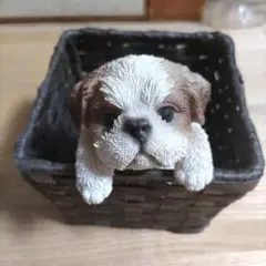 シーズー犬のフィギュア