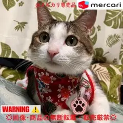 Item thumbnail for item 06c74ef0-b1c6-4072-820e-0c5aa521bf13