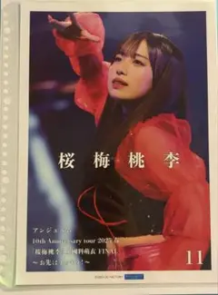 伊勢鈴蘭　桜梅桃李　ピンポス　11 アンジュルム