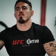 UFC Tシャツ　MMA 格闘技