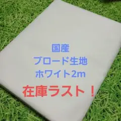 Item thumbnail for item 1903285a-21ed-4beb-891a-2157460c66dd