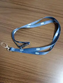 Vicon ビコンジャパン ネックストラップ おまけステッカー付き