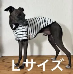 Ｌサイズ、犬服イタグレ服天竺白／黒ボーダーニットＴシャツ