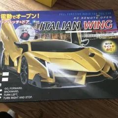 2025年最新】RC イタリアンウイングの人気アイテム - メルカリ