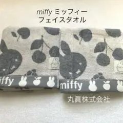 Item thumbnail for item 1610c4cc-0c17-4de5-a891-6249e9f502ba