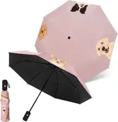 Item thumbnail for item 0f09391b-eae2-4ebd-8f22-9b9f528b6b45