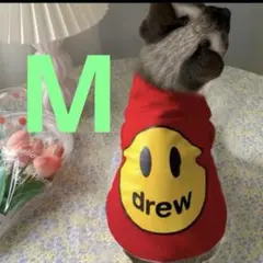 Item thumbnail for item 6b2e6c45-5a8e-4fd2-9e65-2381aa2e71c4