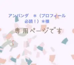 アンパンダ　＊（プロフィール必読！）＊ 様　専用ページです♡
