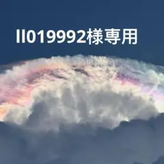 ll019992様用