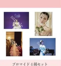 鶴嶋乃愛　鶴嶋乃愛の世界展　ブロマイド　4種セット