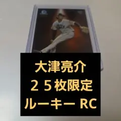 Item thumbnail for item 425c5d72-cee3-476b-8faa-f65a2ca099a1