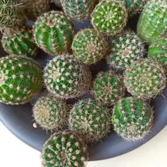 4-1