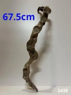 Item thumbnail for item 23c85413-4202-447e-a98d-bb5d0d3547ae