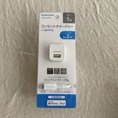 Lightning コンセントチャージャー
