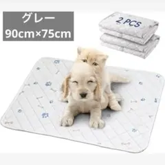 Item thumbnail for item 307d9109-070d-4b8f-bf38-1e2caf0cdf1f