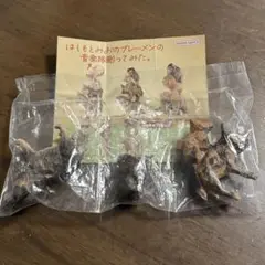 Item thumbnail for item 6cff9386-256e-4d9f-ae03-a4ffd8bf607e