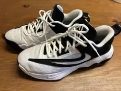 Nike Giannis Immortality 3 EP