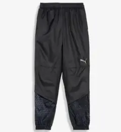 Item thumbnail for item 0d1a51b7-6a2b-4bea-ba20-5587fe68cc38