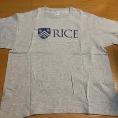 売切価格　早いモノ勝ち　チャンピオン　カレッジ　ヴィンテージ　tシャツ　値下不可