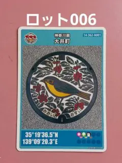 ★ロット006！！★マンホールカード☆神奈川県☆大井町★14-362-A001
