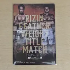 RIZIN ポテトスティック　No.21
