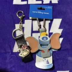 Disney カラビナ　カチューシャホルダー