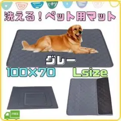 Item thumbnail for item 64861caa-c217-4121-bbb1-b2d736b2b9be