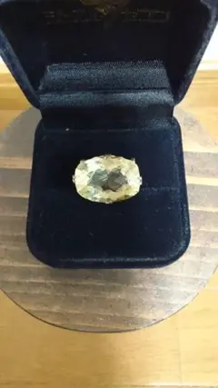 Item thumbnail for item 7c59ab59-b7da-459b-9324-37248bb47b5f