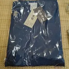 Item thumbnail for item 83f4caf6-ea46-4935-8670-a4bd84fdafb9