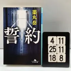 誓約 4-11*25.18*8