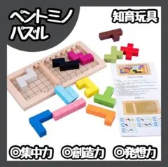 【新品】ペントミノパズル 型はめ カタミノ テトリス モンテッソーリ　知育玩具