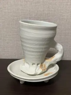 入手困難！作家　阿南維也　初期コレクション　カップ&ソーサー